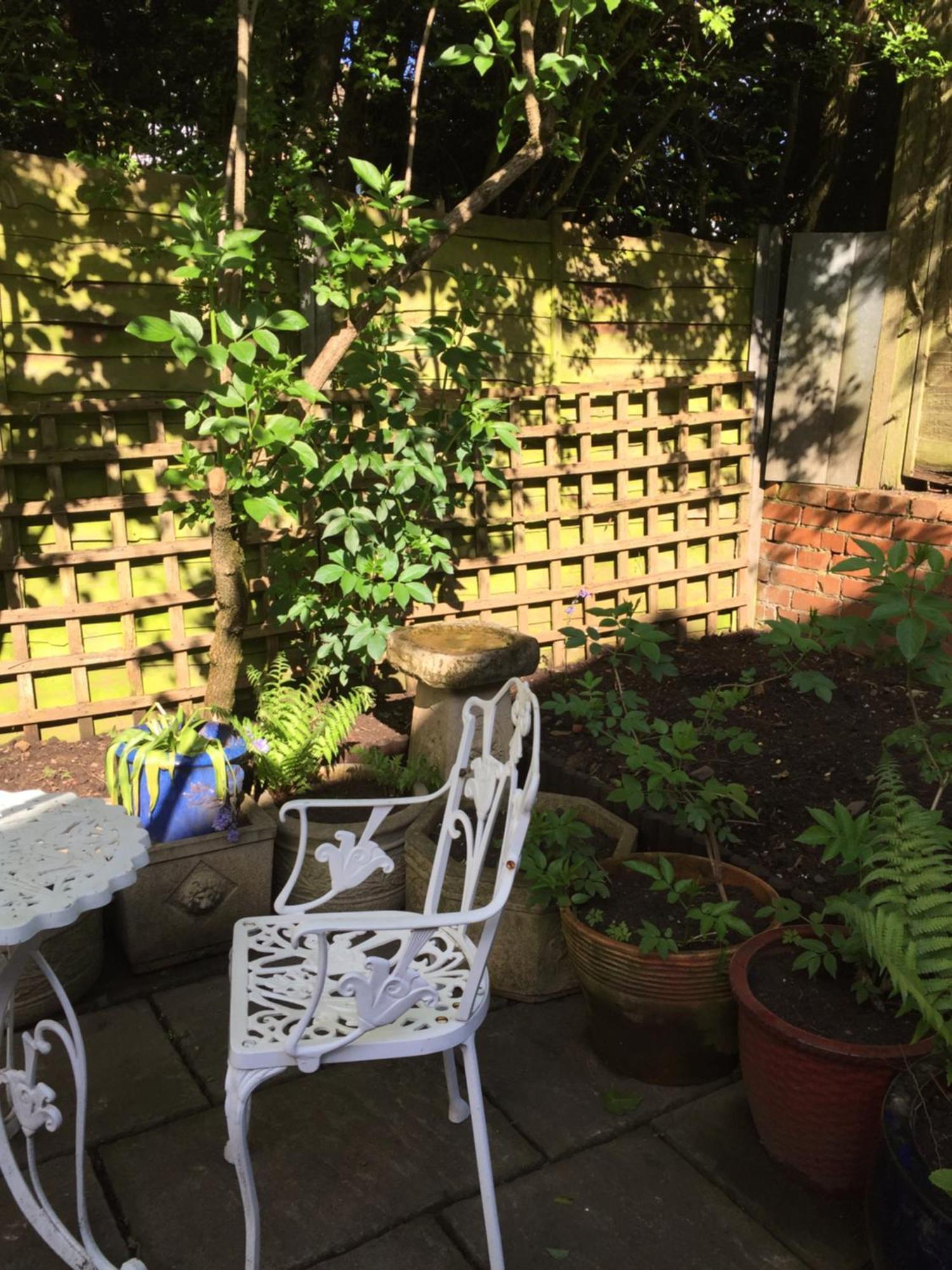 Lowri Cottage Hotel Shenstone المظهر الخارجي الصورة